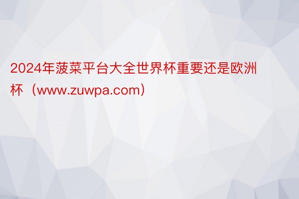 2024年菠菜平台大全世界杯重要还是欧洲杯（www.zuwpa.com）