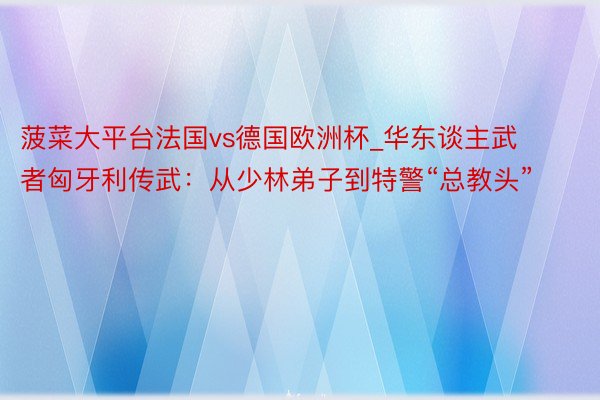 菠菜大平台法国vs德国欧洲杯_华东谈主武者匈牙利传武：从少林弟子到特警“总教头”